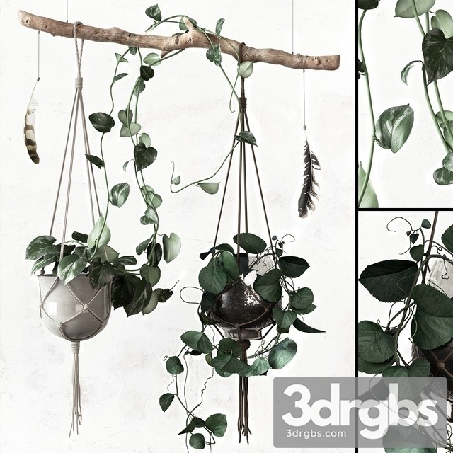 Hanging Plant Pots