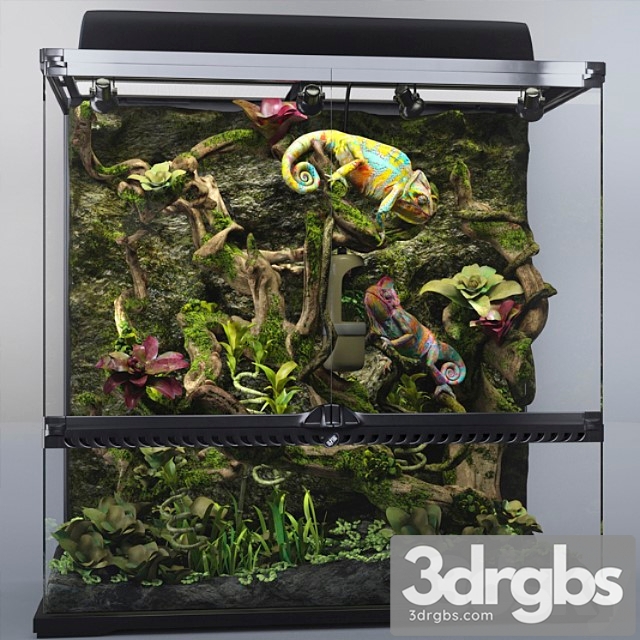 Terrarium exo-terra with chameleons