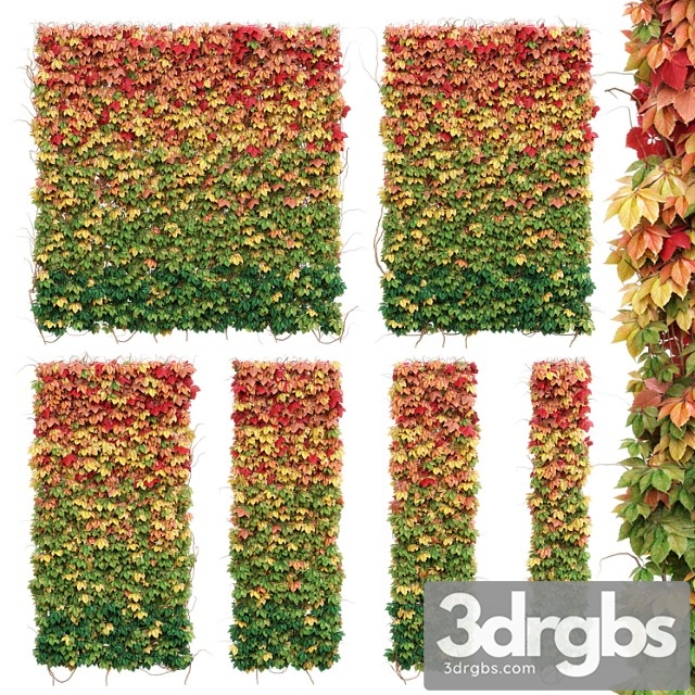 Wall From Autumn Leaves Set of 6 Models