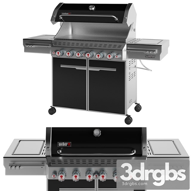 Outdoor gas grill