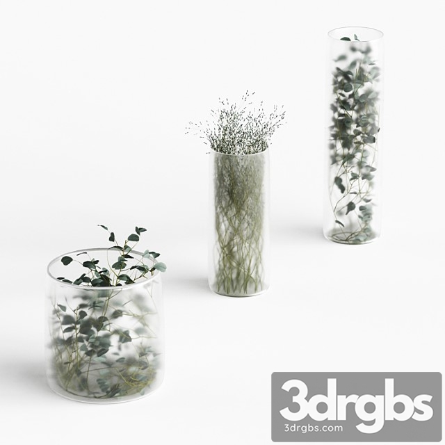Plants in Frosted Vases