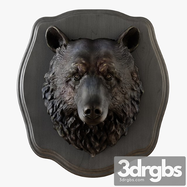 Bear head