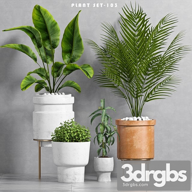 Plant set -103