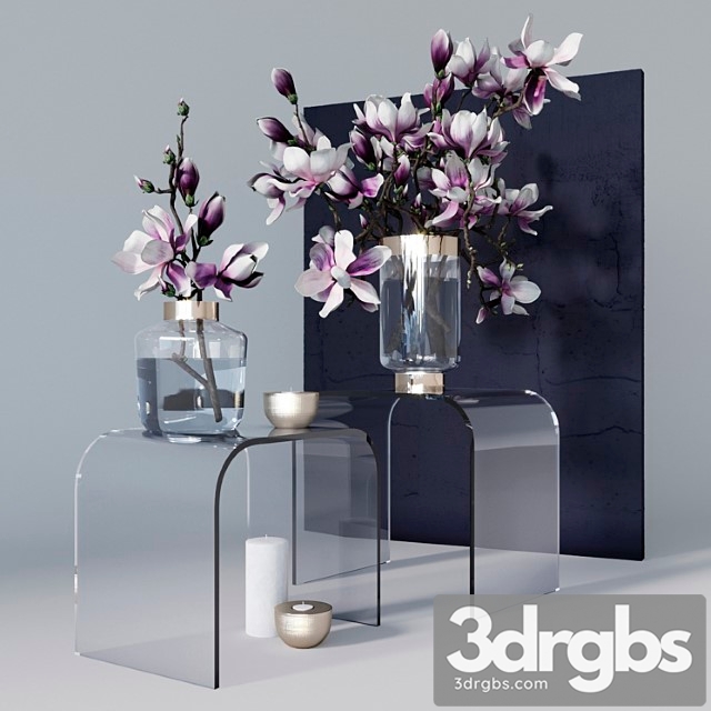 Decorative set with magnolia