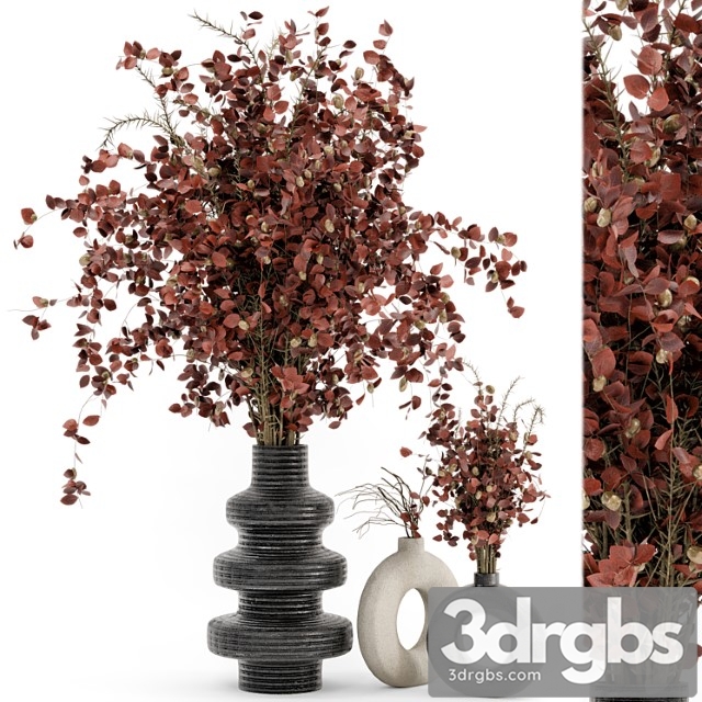 Indoor dry plants in rusty concrete pots - set 509