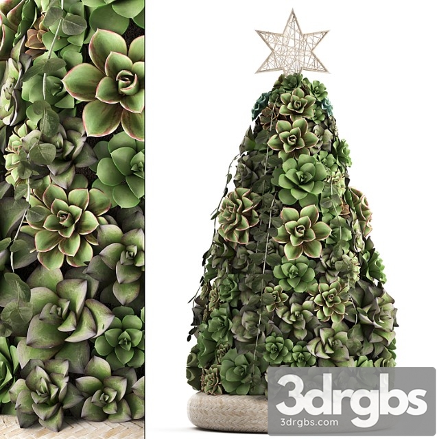 A collection of plants in a composition of succulents, christmas tree, cake, echeveria, decoration for the new year. set 420.