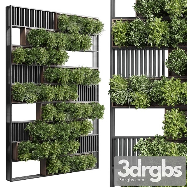 Plants set partition in wooden frame - vertical graden wall decor box 35