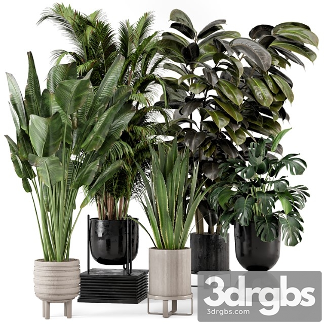 Indoor plants in ferm living bau pot large - set 572