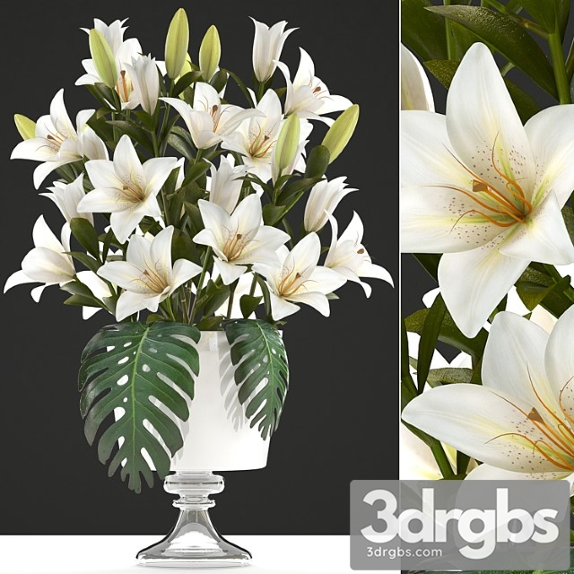 Bouquet of white flowers 51. bouquet of lilies, flower, lily, vase, decor