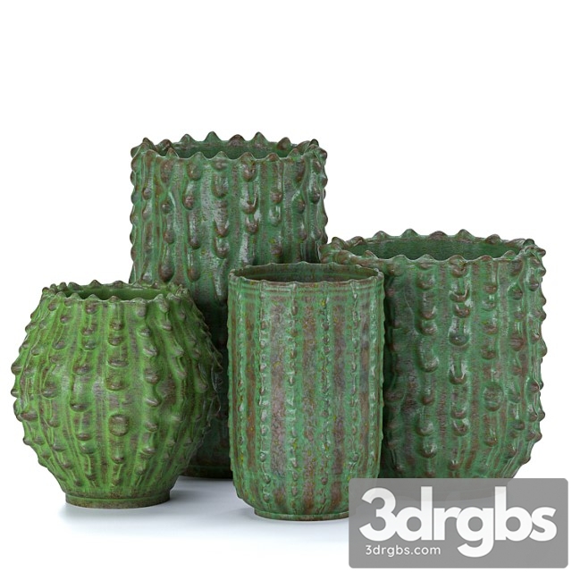 Decorative Vases Cactus