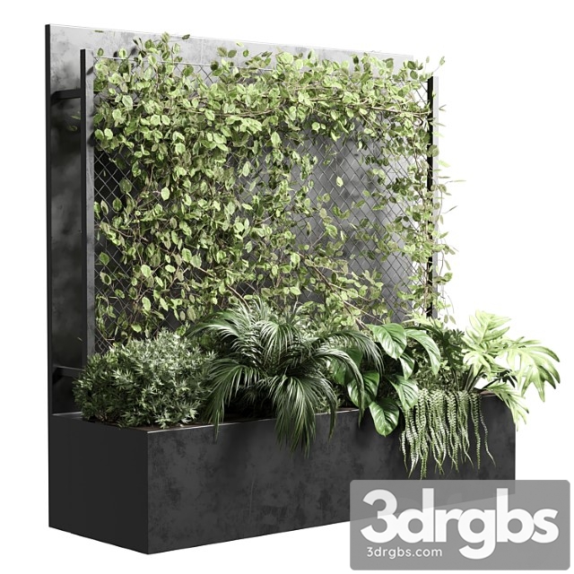 Ivy on Fence Fitowall Vertical Garden Box 01