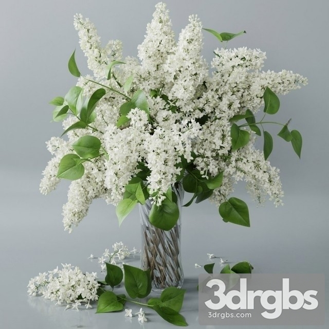 Lilac Vaset Bouquet 1