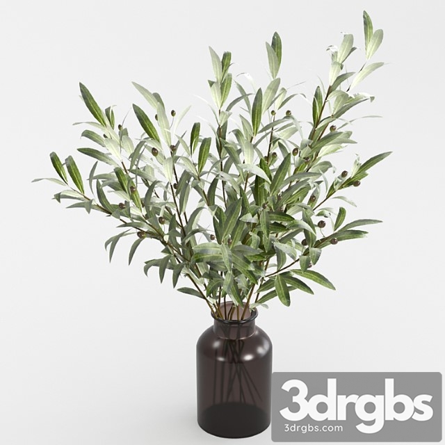 Olive branches in a vase_2