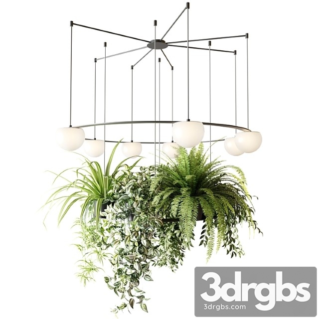 CIRC Suspension Lamps Pendants Chandelier With Ampelous Plants