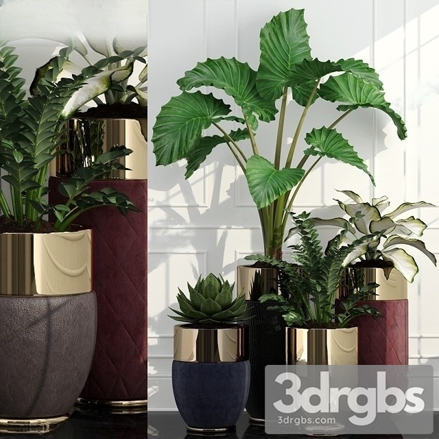 Luxury Plant Pots