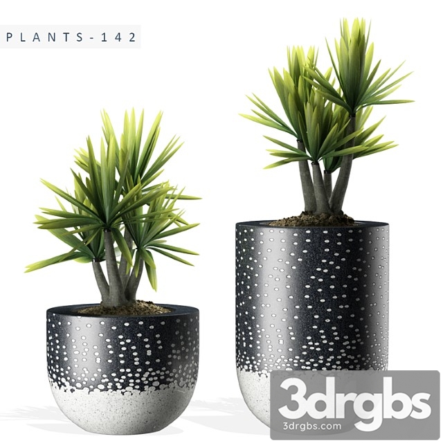 Plants 142