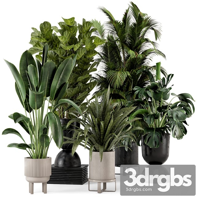 Indoor plants in ferm living bau pot large - set 376