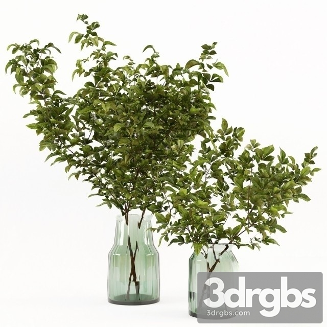 Branches Vase 2