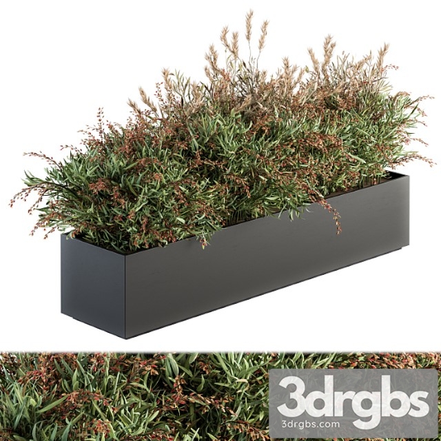 Outdoor plant set 166 - plant box bush