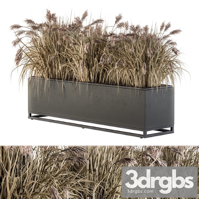 Outdoor plant set 184 - plant box dried