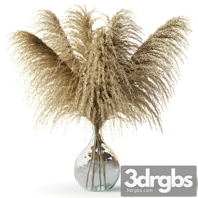 Pampas grass in a glass vase - sofia bouquet