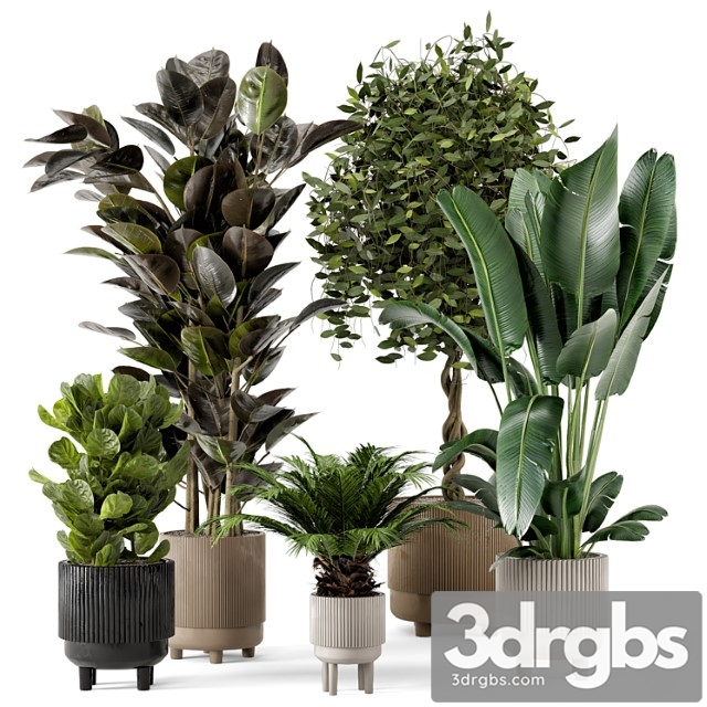 Indoor plants in standing legs small bowl concrete pot - set 212