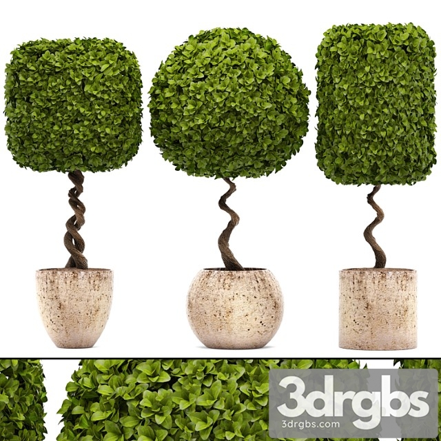 Collection of Plants 130 Garden Trees Landscape Design Flowerpot Pot Boxwood Topiary Topiary