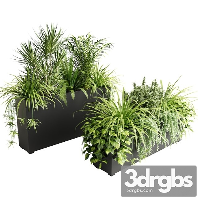 Indoor plants in outdoor boxes