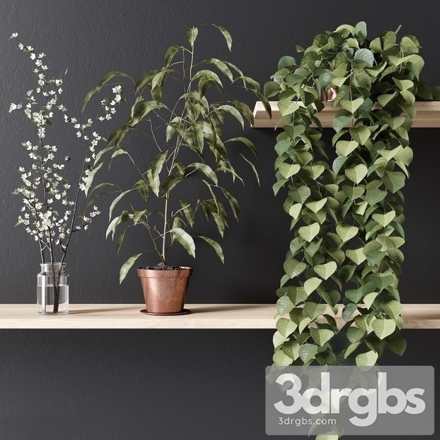 Plant Pots Hanging Shelves