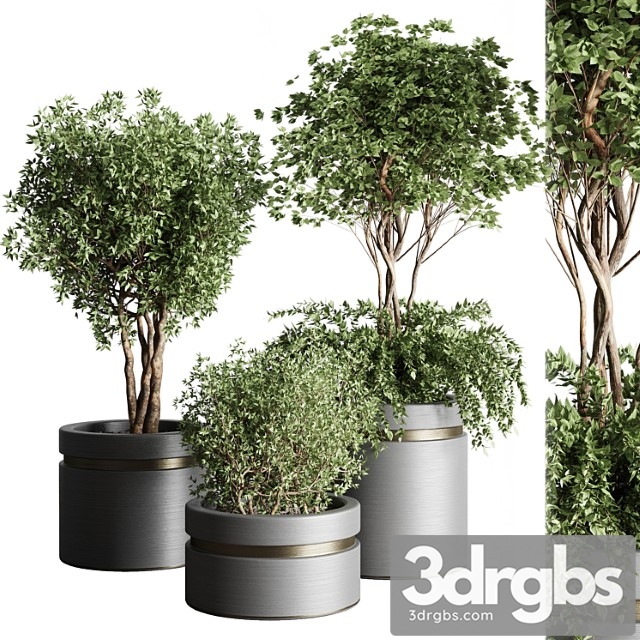 Tree Pots and Shrubs Bush Collection 74 Metal Vase For Outdoor Indoor