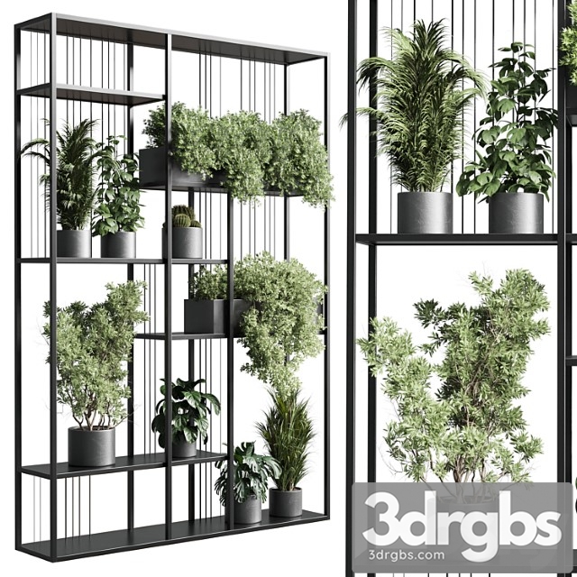 Standing Metal Shelf With A Set Of Plants In Concrete And Metal Boxes 325