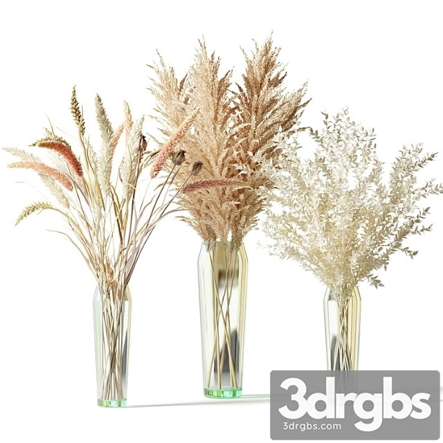 Bouquets of dried flowers in glass vases - set 1