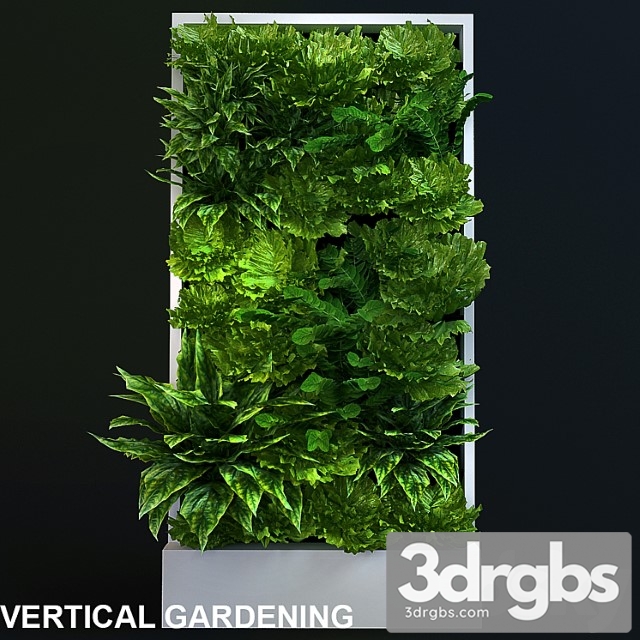 Vertical Gardening 4 1