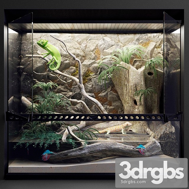 Terrarium_2