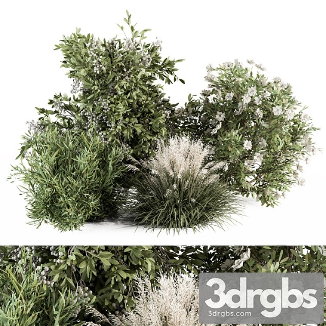 Mixed plant bush - bush set 49