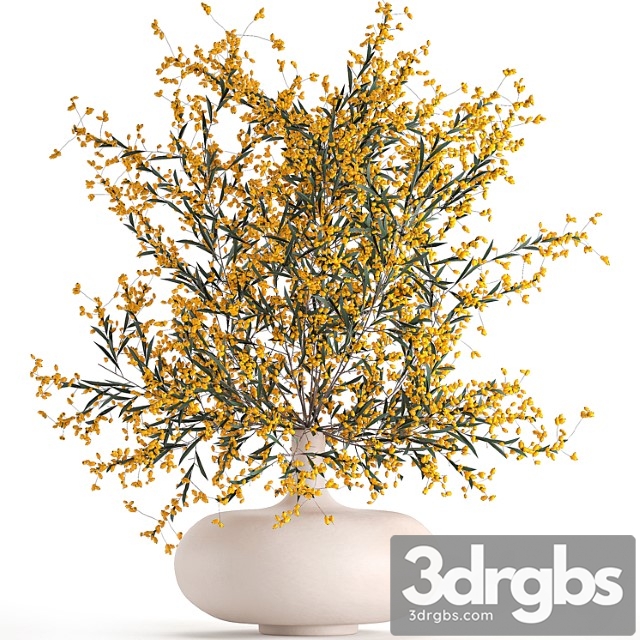 A beautiful lush little bouquet in a vase with branches of yellow sea buckthorn berries. set 96.