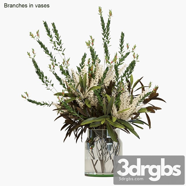 Branches in vases 