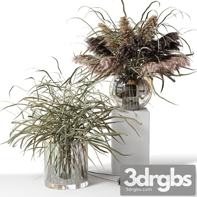 Dry Herb Bouquets in Glass Vases