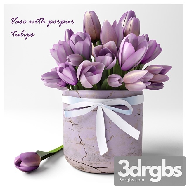 Vase With Perpur Tulips 1