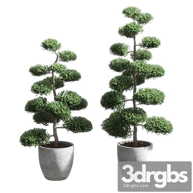 Bonsai with spherical branches. 2 models