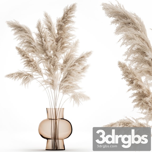 A beautiful lush bouquet of dried flowers in a vase with dry branches of pampas cortaderia white reeds 150