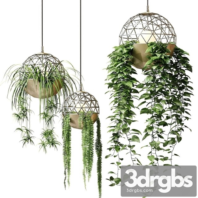 Atelier Schroeter Luminaires With Hanging Plants