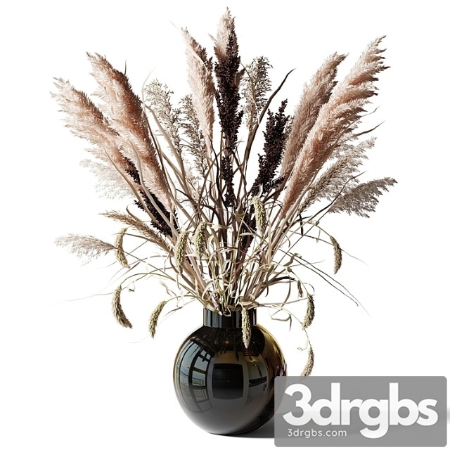 Bouquet of tall dry grass in a black vase