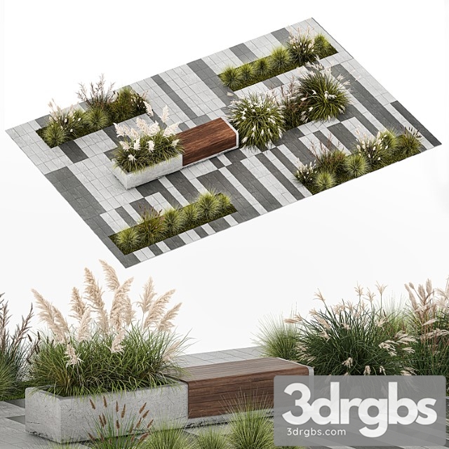 Flower bed with feather grass bushes, miscanthus, cortaderia and white pampas grass, bench and bench paving slabs. 1147.