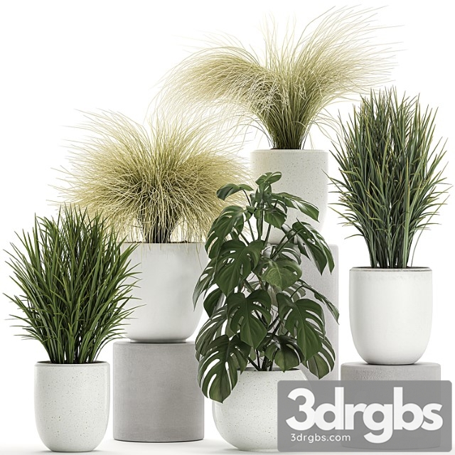 Collection of beautiful small plants in white pots with monstera, bushes, hummock, grass grass. set 682.