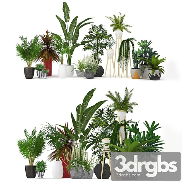 Plants collection a