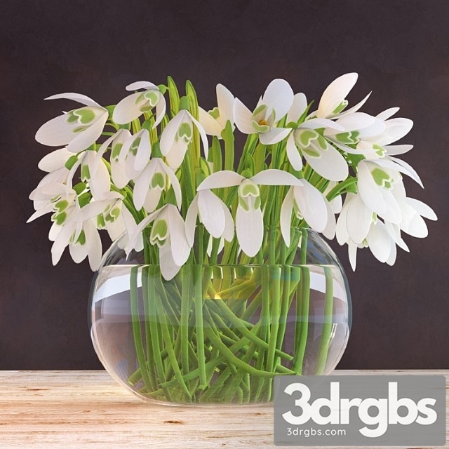 Snowdrops In A Vase 1
