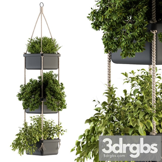 Hanging pot with rope - indoor plants 164