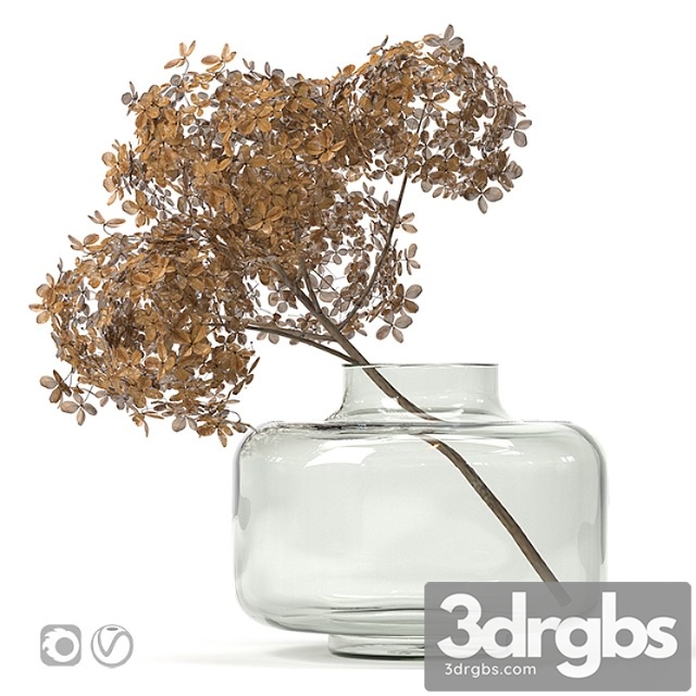 Dried flower vase