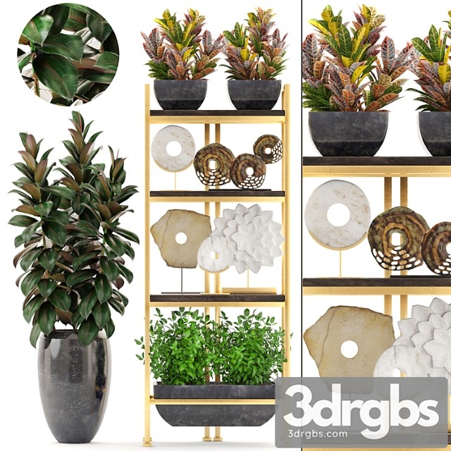 Decorative Set of 5 Shelf Decor Discs Figurine Ficus Pot Croton Shelf With Flowers Luxury